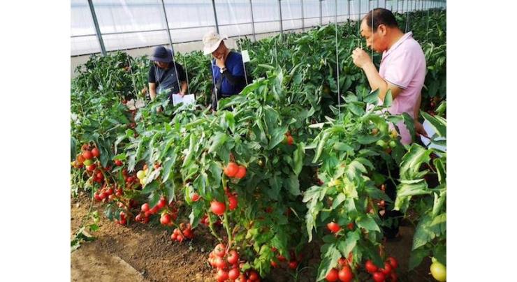 China can help Pakistani farmers to increase added value of agricultural crops: Chen Wei
