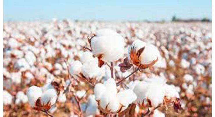 Farmers Convention held to apprise farmers about cotton production
