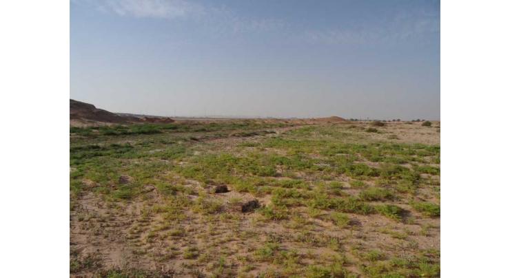 EAD issues executive regulations of Abu Dhabi&#039;s ‘Grazing Law’ to conserve wild plants