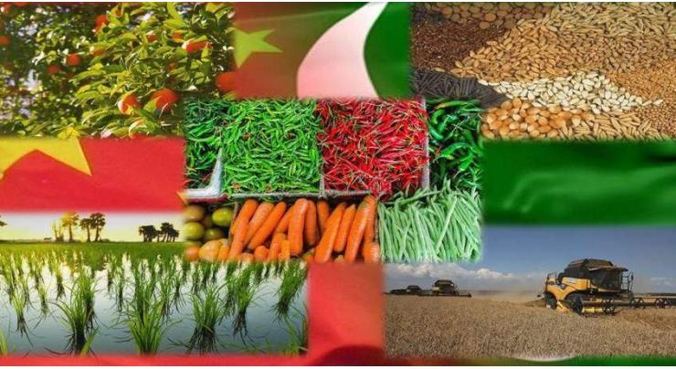 Experts call for Pak-China joint working group for agricultural development
