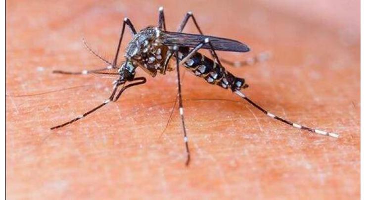 Meeting reviews measures taken to prevent dengue
