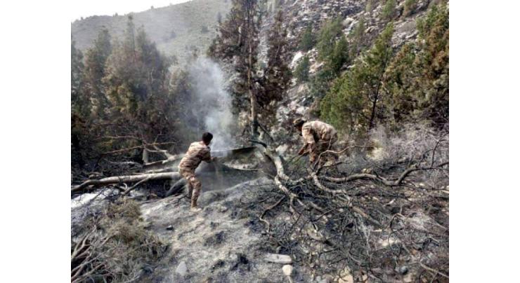 Commissioner directs measures to prevent fire eruption cases in forests
