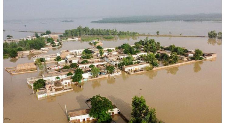 WHO to rehabilitate, activate 50 hospitals in flood-hit areas of KP