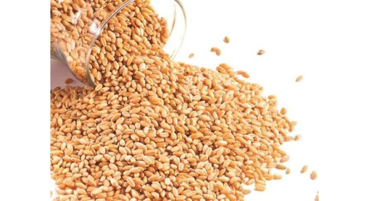 Sindh govt struggling to meet 1.4 mln wheat procurement target
