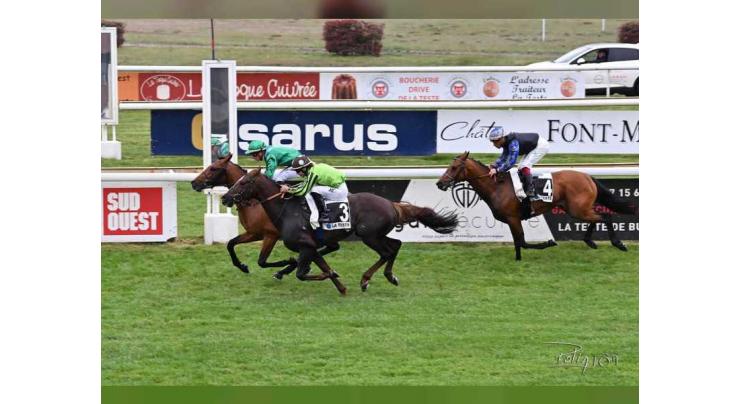 Haka de Soleil dominates Prix Dormane GR3 race at H.H. Sheikh Mansour bin Zayed Al Nahyan Global Arabian Horse Flat Racing Festival in France