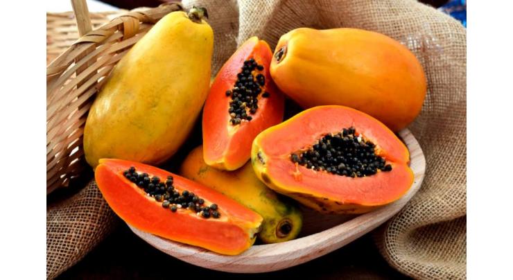 Papaya has great resistance against various diseases: scientist
