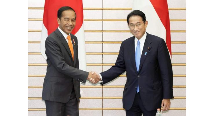 Japanese, Indonesian Leaders Discuss Cooperation at G7 Summit - Ministry