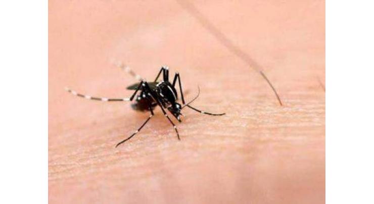 ADC directs to expedite anti-dengue activities
