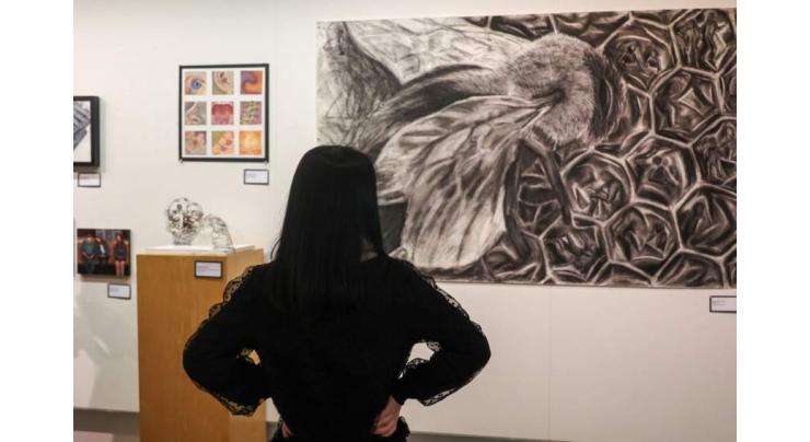 Artworks displayed by SU students in thesis show 2023 attract visitors

