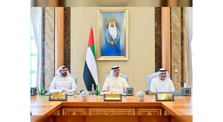 Mansour bin Zayed chairs Ministerial Development Council meeting on government support policies