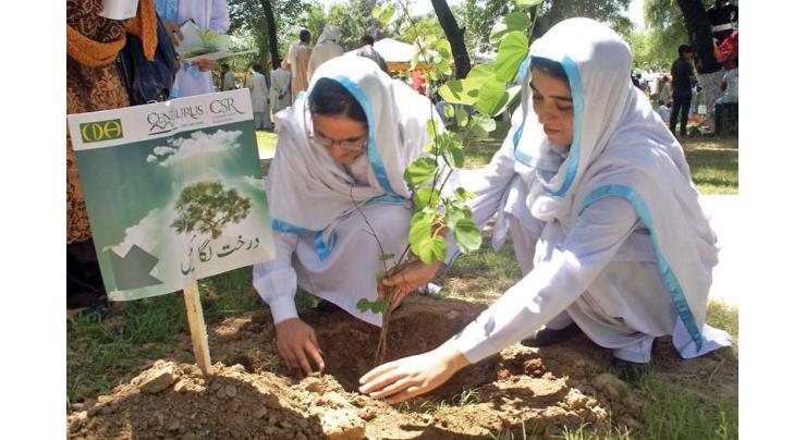 Plantation campaigns to be headed by environmentalists in future: official
