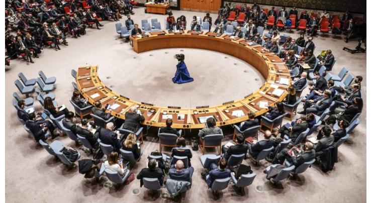 Russia, China, 3 African States Abstain on UNSC Resolution Extending South Sudan Sanctions