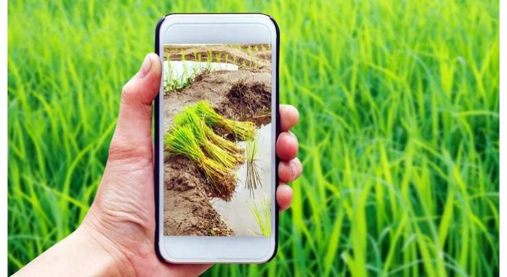 Experts terms agri-tech only solution for sustainable agriculture
