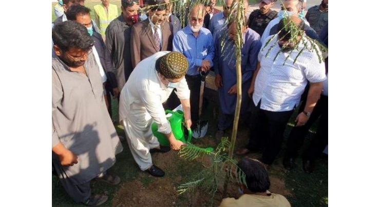 KMC takes steps for plantation in Karachi to combat environmental challenges: Dr. Syed
