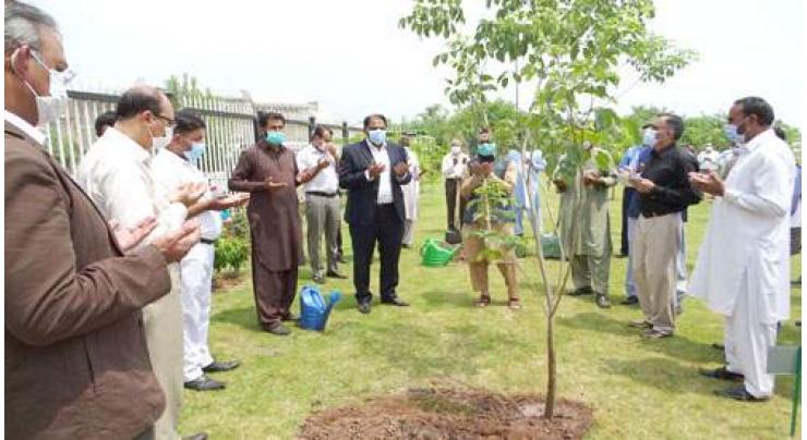 POA EC organizes a tree-plantation drive

