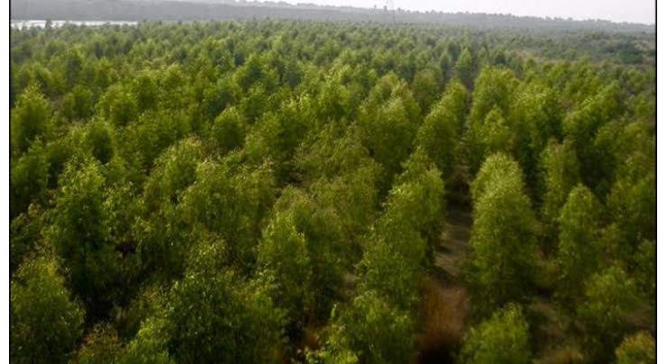 People must be encouraged to plant trees for enhancing forests: Balochistan Governor Malik Abdul Wali Khan Kakar 
