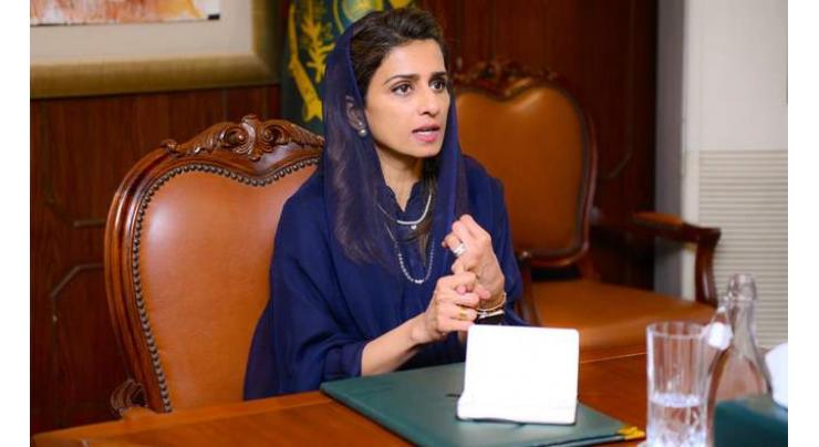 Minister of State for Foreign Affairs Hina Rabbani Khar discusses bilateral ties, global issues with First Deputy Speaker of Swedish parliament
