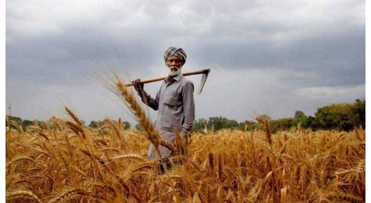 Rs1,222 bln provided to farmers during July-March, 2023: Survey
