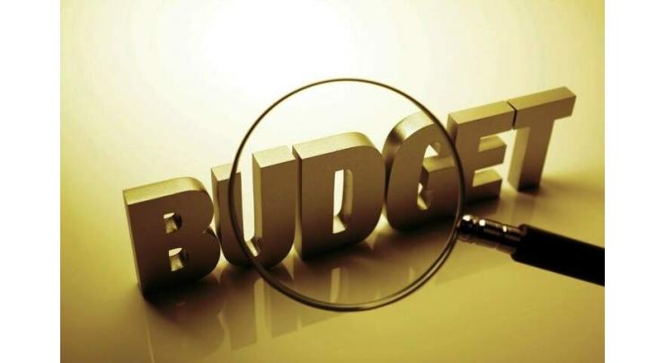 PML-N Lawyers Forum appreciates federal budget
