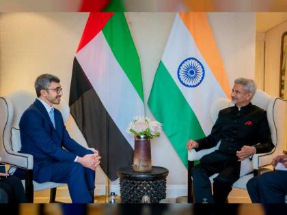 عبدالله بن زايد يلتقي وزير خارجية الهند على هامش اجتماع &quot;أصدقاء بريكس&quot;