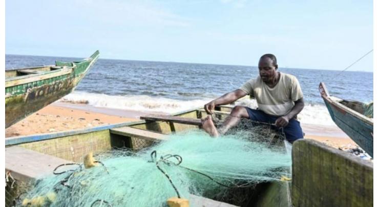 Ivory Coast's fishermen land-bound to save declining stocks
