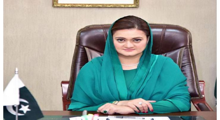 PTV, Radio Pakistan attacked by proponents of institutions' auctioning: Marriyum
