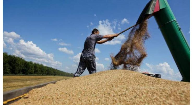 Russian Grain Union Says Terminating Grain Deal Right Decision, Will Increase Wheat Prices