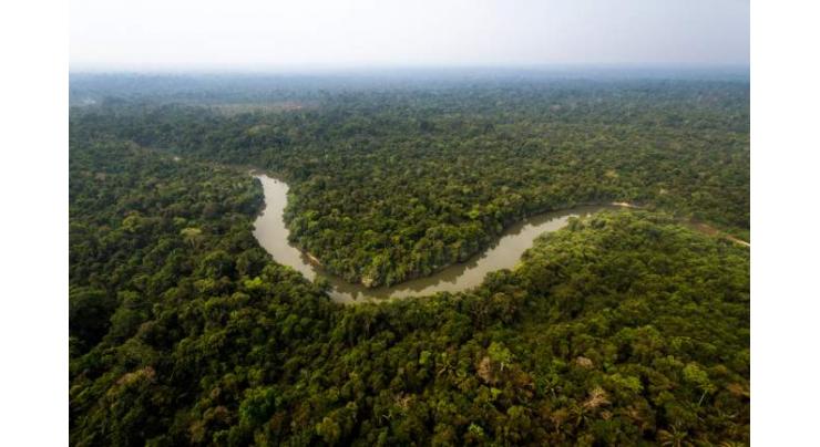 Tropical forest nations seek climate plan in Brazil
