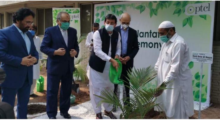 PTCL Group partners with PHA to plant trees
