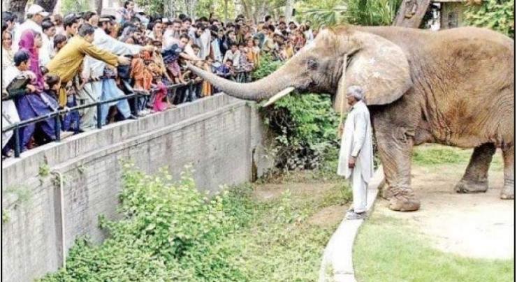CM approves upgradation of Lahore Zoo, Safari Park
