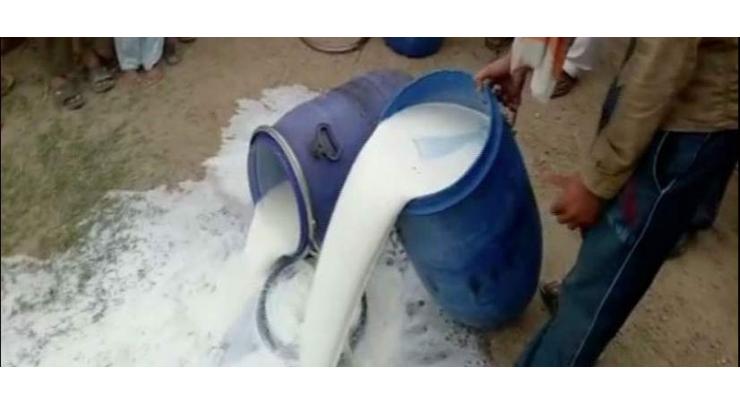 PFA discards 3,500-litre fabricated milk in Chunian
