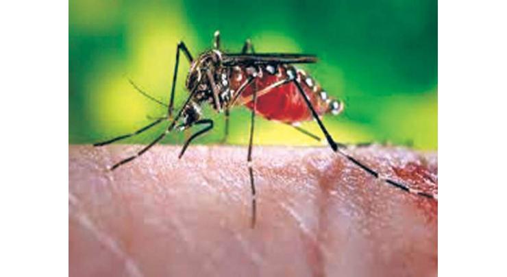 PIMS receives another dengue patient