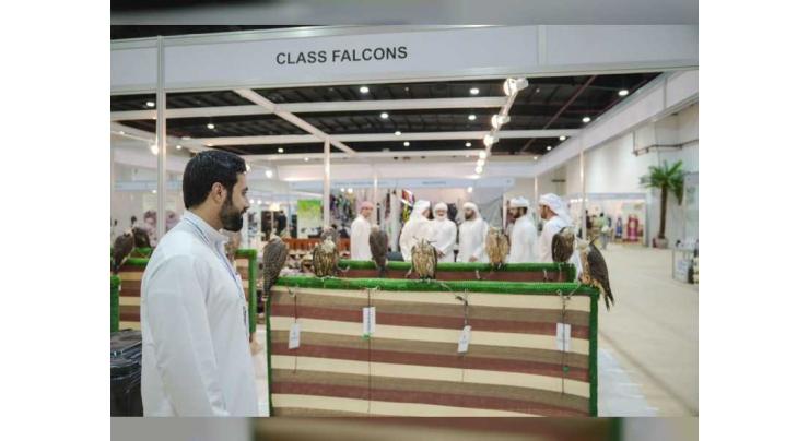 Al Asayl Exhibition 2023 set to draw an impressive crowd of horse, camel, falcon, hunting, and equestrian sports enthusiasts from across the region