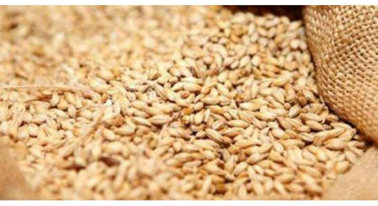 Punjab doubles amount of subsidized wheat seed: Dr. Ishtiaq