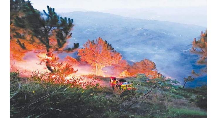 Forest fire extinguished in Duki’s Marjanzai Tambil Mountain