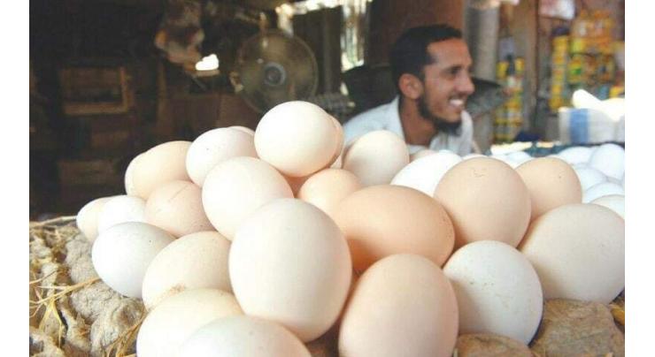 Pakistanis consume less than 100 eggs per head in a year, causing protein deficiency: Dr Iqrar