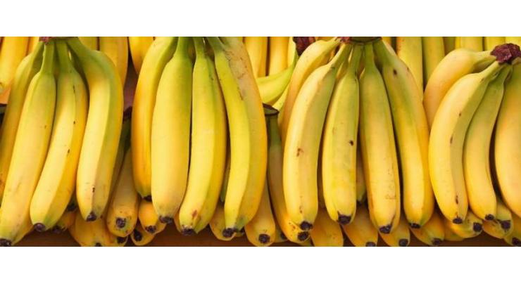 SAU,FAO agreed to jointly work for Bananas, Bioeconomy: Transforming Waste project