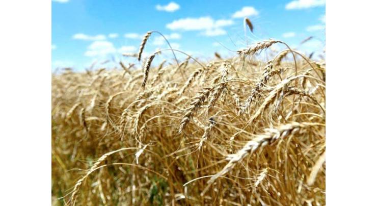 PFD fixes official rate of wheat, flour