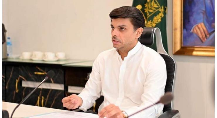 SAPM Malik explores avenues for Pakistani professionals in Saudi projects