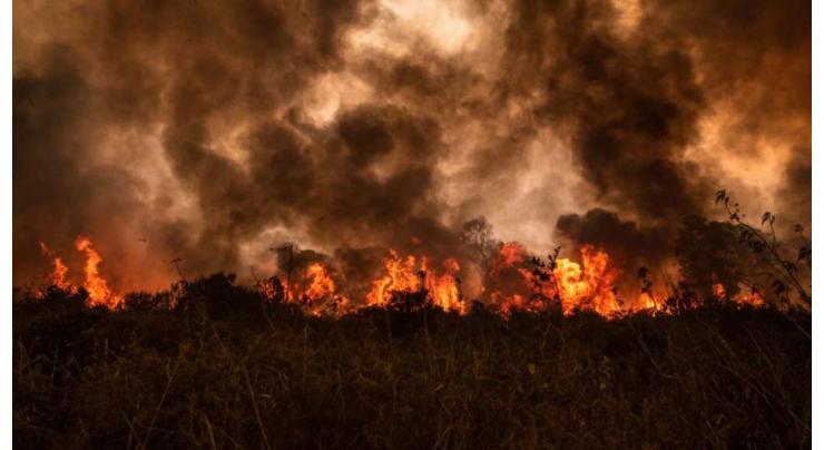 'Out of control' fires endanger wildlife in Brazilian wetlands