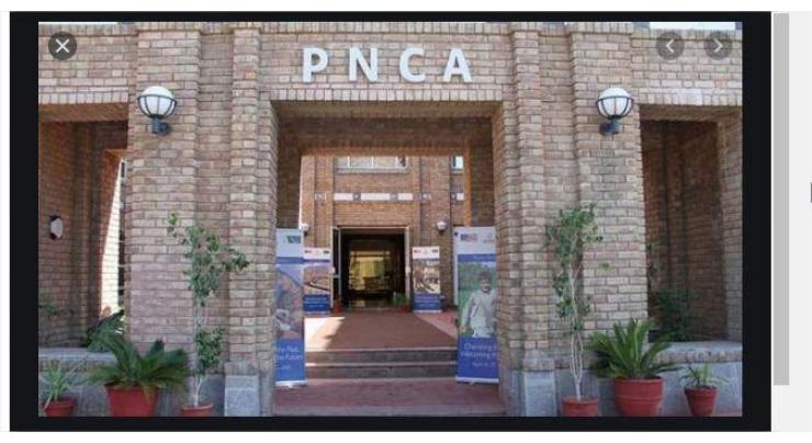 PNCA unveils National Music Academy to nurture Pakistan's musical talent