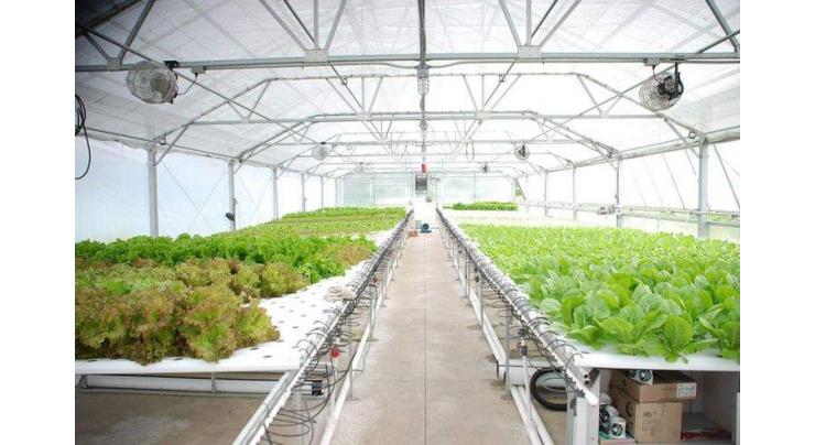 Pakistan, Korea sing agreement for constructing aeroponic green house, artificial cattle insemination