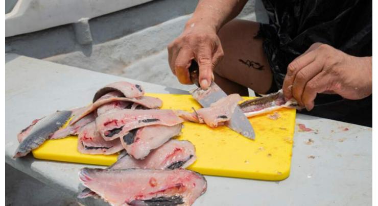 UNESCO to list ceviche, opera as 'intangible heritage'