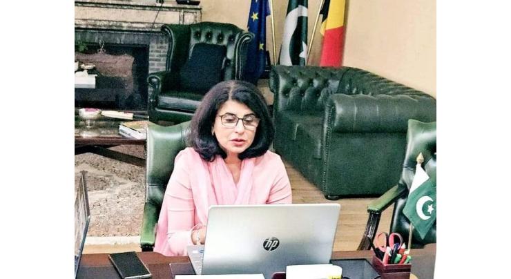 Ambassador Amna Baloch highlights investment opportunities in Pakistan