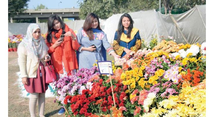 Chrysanthemum and Autumn Flower show held at UAF