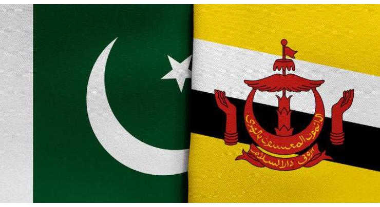 Pakistan, Brunei hold inaugural round of bilateral consultation