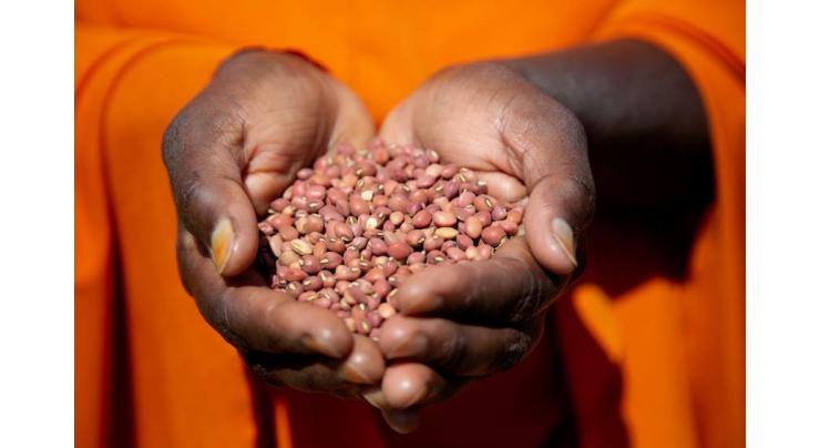 Gram, lentil pulses to be grown over 874,000 hectares in Rabi 2023