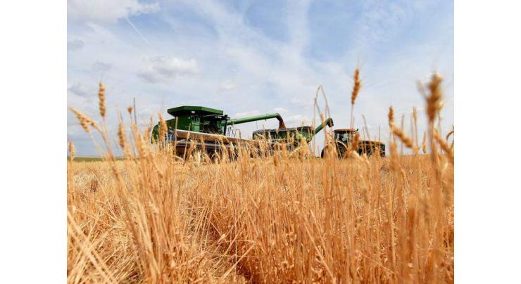 Farmers told to submit wheat competition application till Jan 31