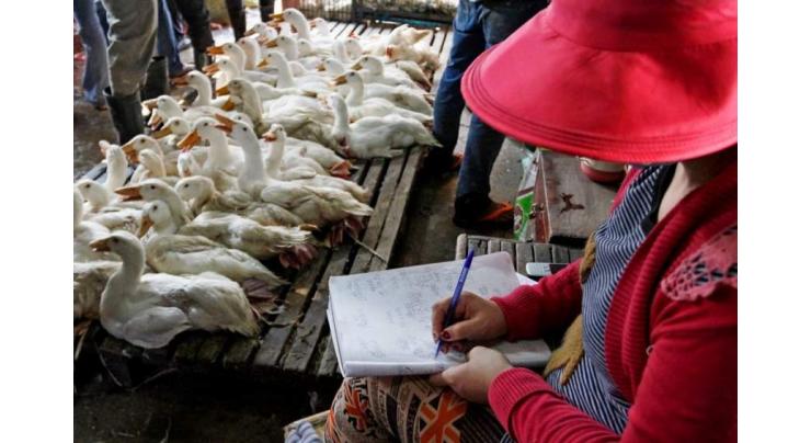 Cambodia reports 1st human case of bird flu in 2024
