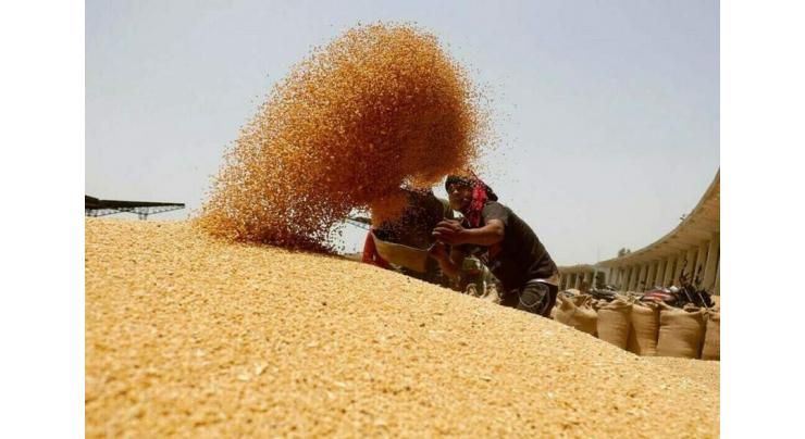 Wheat quota enhanced  for Gilgit Baltistan